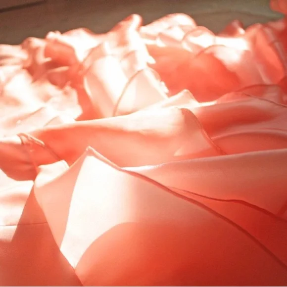 Size 2 coral pink corset back dress - Picture 5 of 6